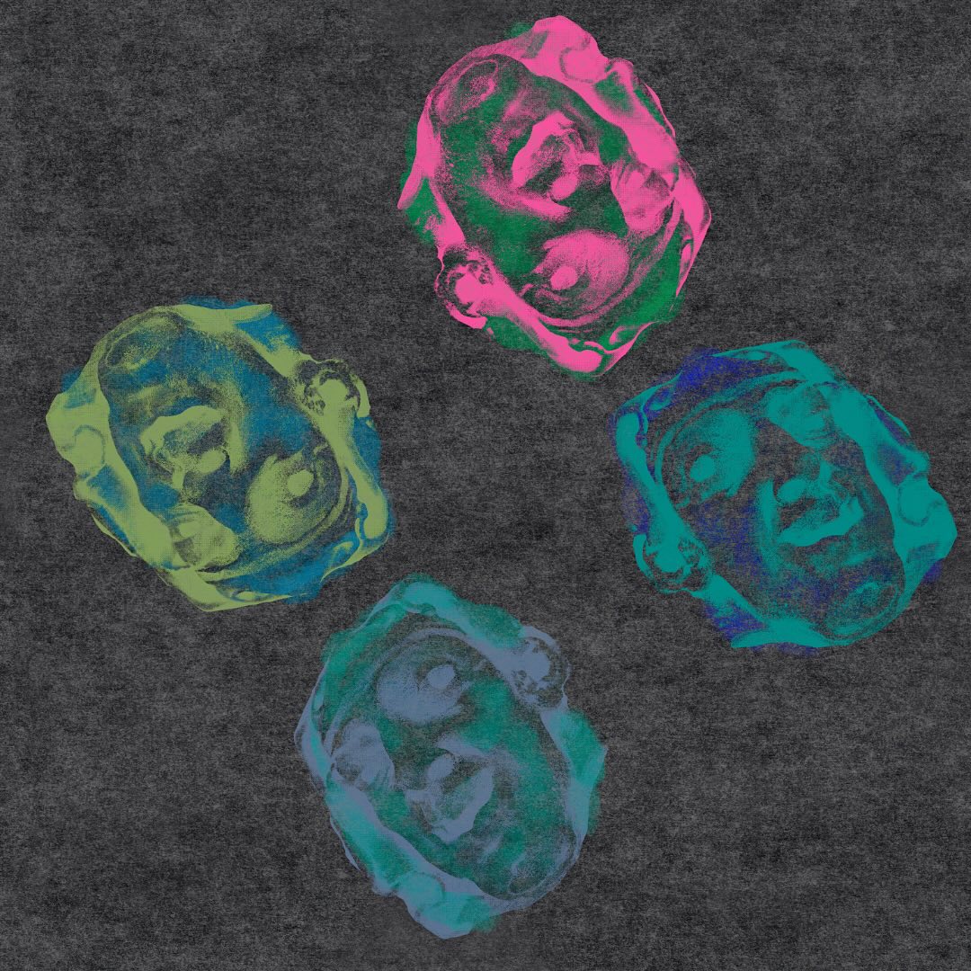 faces in strange places