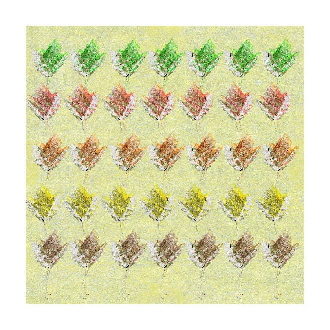leaves