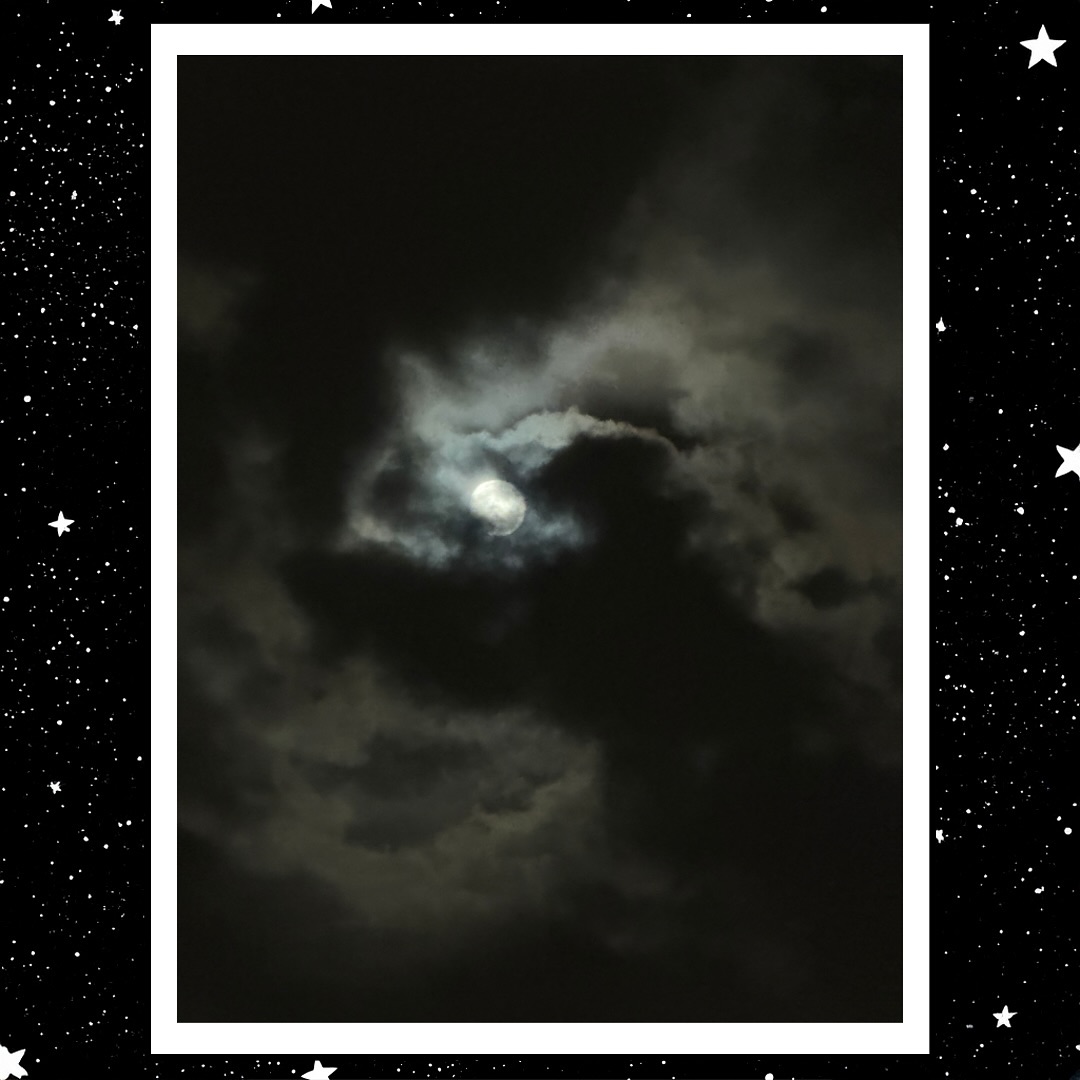 dancing in the moonlight